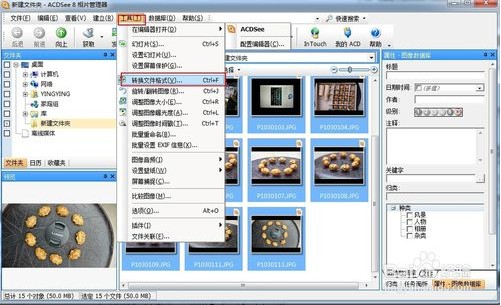 【ACDSee2019中文激活版下载】ACDSee2019中文激活版(含注册机+汉化补丁) 终身专业版插图16