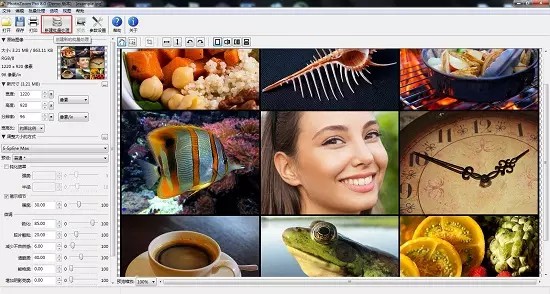 图片无损放大工具PhotoZoomPro 第2张图片