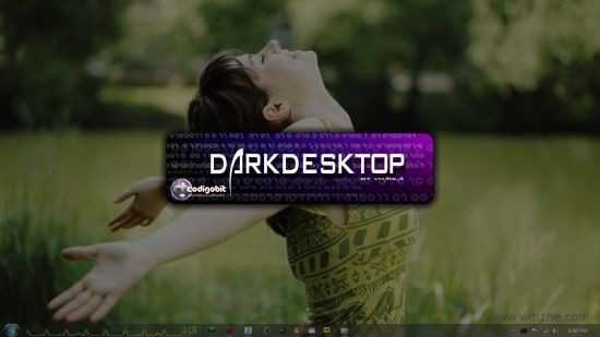 DarkDesktop中文版截图