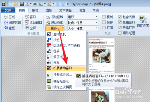 【HyperSnap】HyperSnap下载 v7.29.02 中文激活版插图1