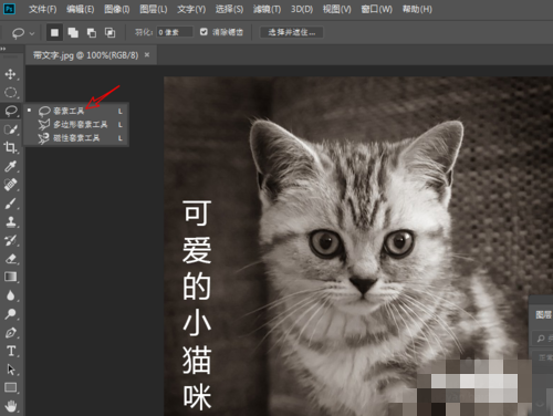 Adobe Photoshop CC2018怎么替换文字