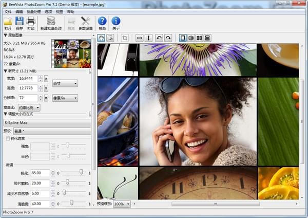 【photozoom pro下载】PhotoZoom Pro v7.1.0 激活版插图