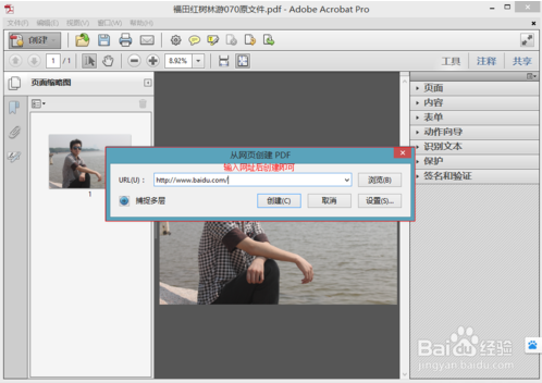 【adobe acrobat professional下载】Adobe Acrobat Professional v7.0 中文激活版插图4