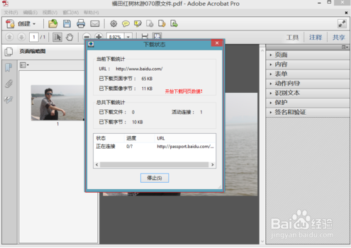 【adobe acrobat professional下载】Adobe Acrobat Professional v7.0 中文激活版插图5