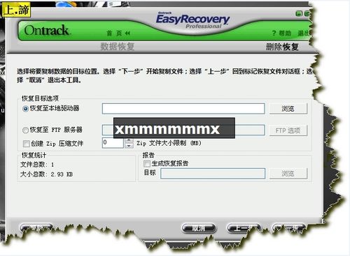 【easyrecovery pro 6.06激活版下载】Easyrecovery Pro 6.06 汉化版插图17